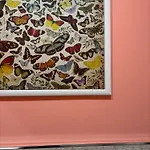 Apartamento Casa Dei Fiori